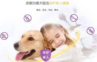 幼犬,注意事项,吃犬心保