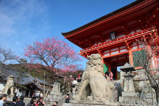 2月份去日本旅游要注意事项