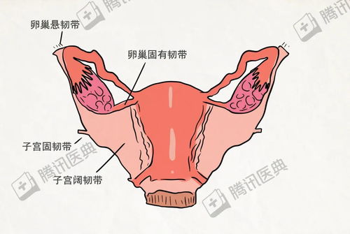 30岁切除子宫注意事项