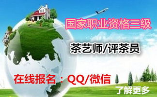 茶艺,注意事项,面试