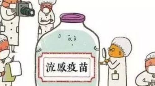 疫苗,流感,注意事项