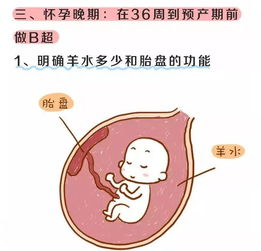 早孕做b超注意事项有哪些,做b超的注意事项,早孕b超前注意事项