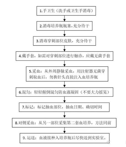 血液标本采集程序及注意事项研究