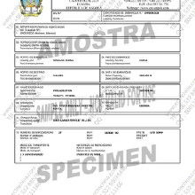 安哥拉,注意事项,工作