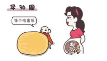 备孕注意事项,高血压高压250注意事项,备孕注意事项和准备
