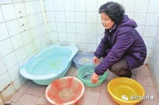 做婆婆的注意事项,婆婆要再婚注意事项,送婆婆礼物注意事项