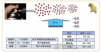 猪群免疫注意事项,饮水免疫注意事项,球虫免疫注意事项