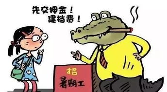 注意事项,中介,大学生