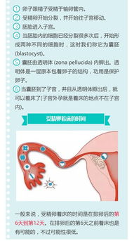 受精卵着床注意事项,着床出血注意事项,受精卵着床前注意事项