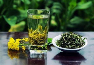 冲泡绿茶的注意事项