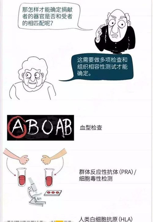 注意事项,肾移植