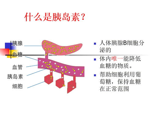 胰岛素,注射,注意事项,ppt