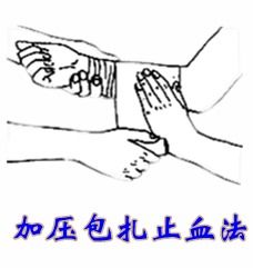 加压包扎止血法注意事项,加压包扎止血法注意事项包括,包扎止血法的注意事项