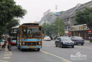 驾车,注意事项,市区
