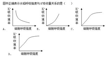果蔬呼吸强度测定静置法注意事项,果蔬呼吸强度测定实验注意事项,果蔬呼吸强度测定实验报告注意事项