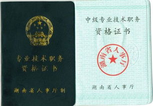 南京,申报,注意事项,中级职称