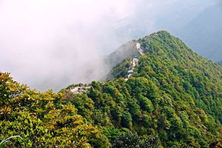 过夜,注意事项,梧桐山
