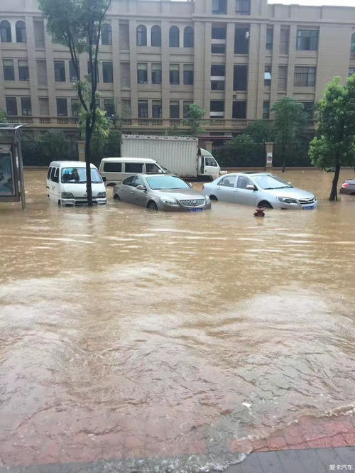 暴雨,台风,注意事项,行车