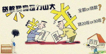 新房,注意事项,全款