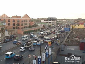 去上海工作注意事项,从安哥拉回国注意事项,安哥拉垂耳兔注意事项