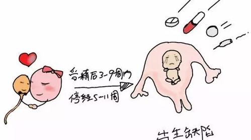 吃药流第七天注意事项