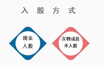入股,注意事项,公司