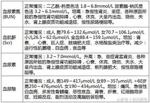 收集晨尿注意事项