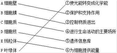 苯胺,易燃,毒性,注意事项