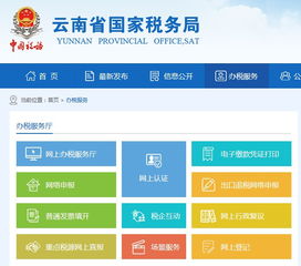 网上报税注意事项