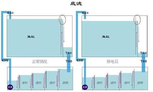 鱼缸底滤改造注意事项