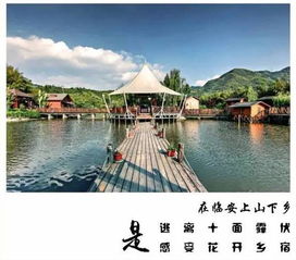 四肢摄影的注意事项,x线摄影的注意事项,乳腺摄影注意事项