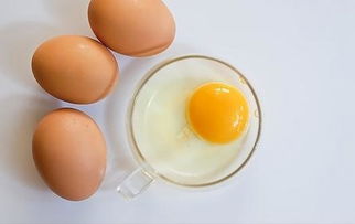 吃鸡蛋的注意事项不能喝豆奶,白血病能吃鸡蛋吗有什么注意事项,打了狂犬疫苗后的注意事项可以吃鸡蛋吗
