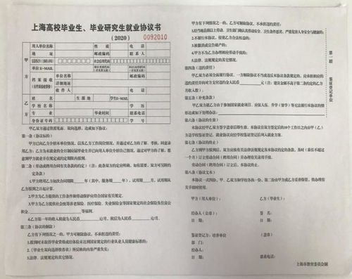 大学生就业注意事项,应届毕业生就业注意事项,就业档案的注意事项