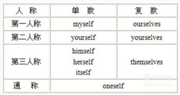 代词,英语,注意事项