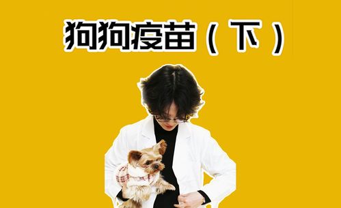 小狗扎完疫苗注意事项