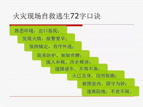 演示,注意事项