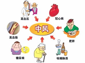 轻度中风的注意事项