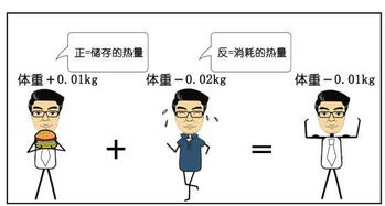 816减肥法的注意事项,八小时减肥法注意事项,哈佛减肥法注意事项