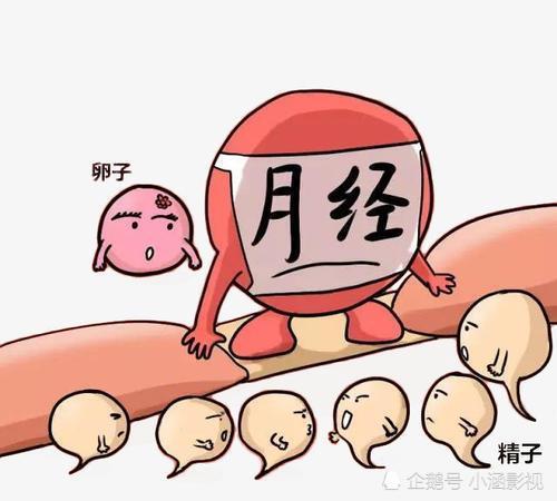 刚来月经期间注意事项