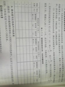 醋酸含量测定实验报告注意事项