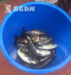 水库,注意事项