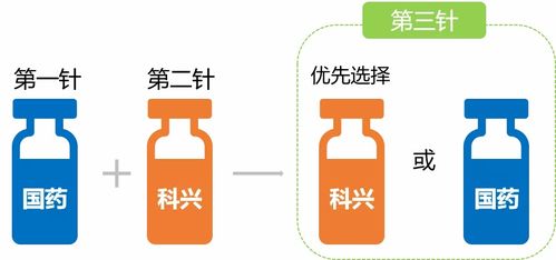 动物免疫接种的方法及注意事项,免疫接种的注意事项,简述免疫接种的注意事项