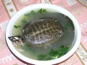 宫颈环扎术后饮食注意事项,环扎术后需要注意事项,巩膜环扎术后注意事项