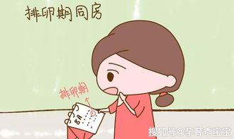 排卵日同房后注意事项,排卵日同房后几天注意事项,备孕排卵日同房后注意事项