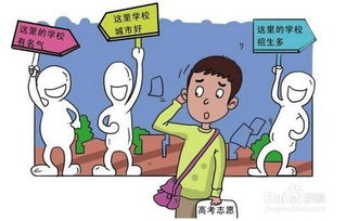 报考志愿注意事项