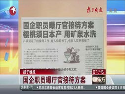 接待政府领导注意事项,接待的工作内容与注意事项,办公室接待流程和注意事项