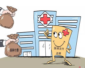 种梅豆时注意事项