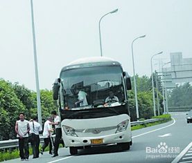 牛皮,二层,长途,注意事项