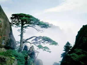 冬天登黄山注意事项,去黄山注意事项,爬黄山注意事项