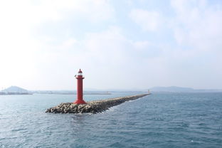 人去,注意事项,济州岛